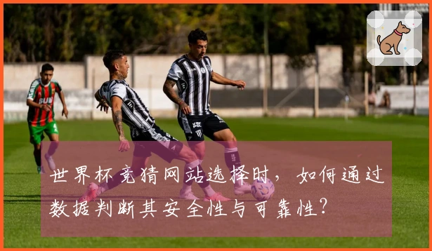 世界杯竞猜网站选择时，如何通过数据判断其安全性与可靠性？