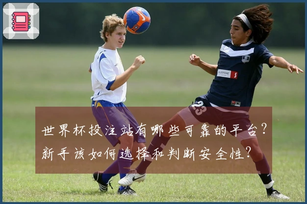 世界杯投注站有哪些可靠的平台？新手该如何选择和判断安全性？