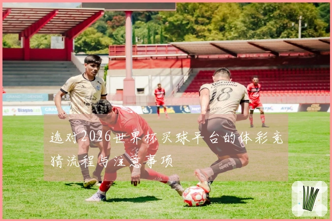 选对2026世界杯买球平台的体彩竞猜流程与注意事项