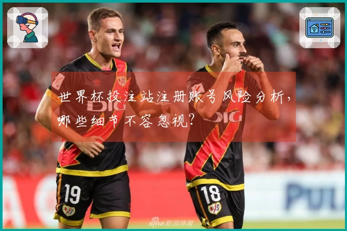 世界杯投注站注册账号风险分析，哪些细节不容忽视？