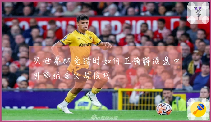买世界杯竞猜时如何正确解读盘口升降的含义与技巧